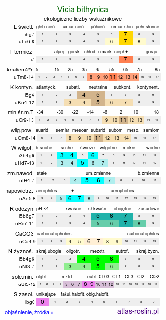 ekologiczne liczby wskaźnikowe Vicia bithynica (wyka turecka)