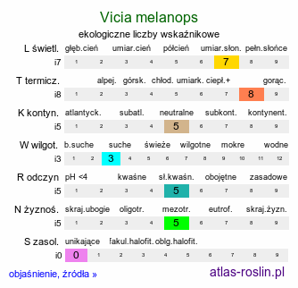 ekologiczne liczby wskaźnikowe Vicia melanops (wyka ciemnoplamka)