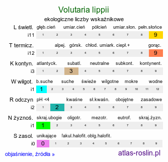 ekologiczne liczby wskaźnikowe Volutaria lippii (wolutaria Lippa)