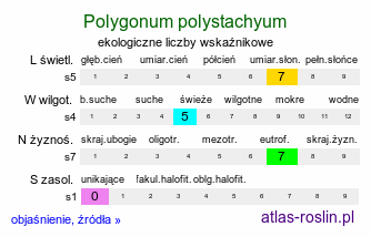 ekologiczne liczby wskaźnikowe Koenigia polystachya (rdest wielokłosowy)