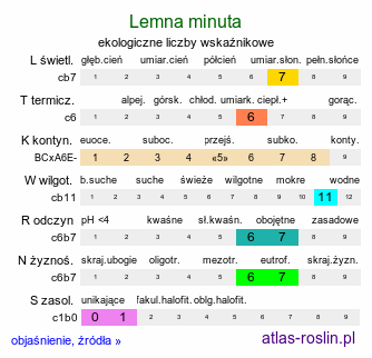 ekologiczne liczby wskaźnikowe Lemna minuta (rzęsa drobniutka)