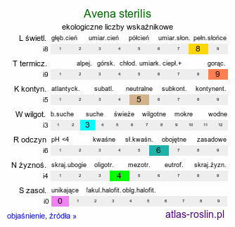 ekologiczne liczby wskaźnikowe Avena sterilis (owies płonny)