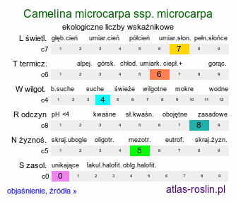 ekologiczne liczby wskaźnikowe Camelina microcarpa ssp. microcarpa (lnicznik drobnoowocowy typowy)