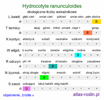 ekologiczne liczby wskaźnikowe Hydrocotyle ranunculoides (wąkrotka jaskrowata)