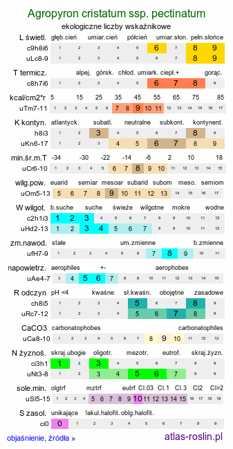 ekologiczne liczby wskaźnikowe Agropyron cristatum ssp. pectinatum (perzyk grzebieniasty zgrzebłowaty)