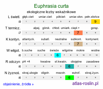 ekologiczne liczby wskaźnikowe Euphrasia curta (świetlik zwarty)