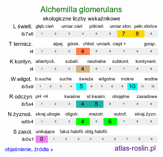 ekologiczne liczby wskaźnikowe Alchemilla glomerulans