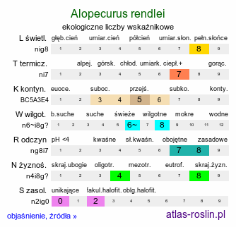 ekologiczne liczby wskaźnikowe Alopecurus rendlei (wyczyniec pęcherzykowaty)