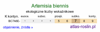 ekologiczne liczby wskaźnikowe Artemisia biennis (bylica dwuletnia)
