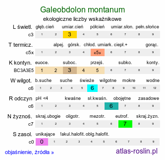 ekologiczne liczby wskaźnikowe Galeobdolon luteum ssp. montanum (gajowiec żółty górski)
