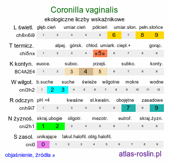 ekologiczne liczby wskaźnikowe Coronilla vaginalis (cieciorka pochewkowata)