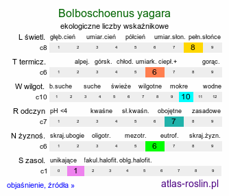 ekologiczne liczby wskaźnikowe Bolboschoenus yagara