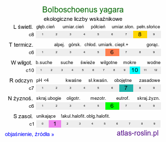 ekologiczne liczby wskaźnikowe Bolboschoenus yagara