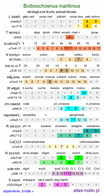 ekologiczne liczby wskaźnikowe Bolboschoenus maritimus (sitowiec nadmorski)