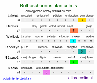 ekologiczne liczby wskaźnikowe Bolboschoenus planiculmis