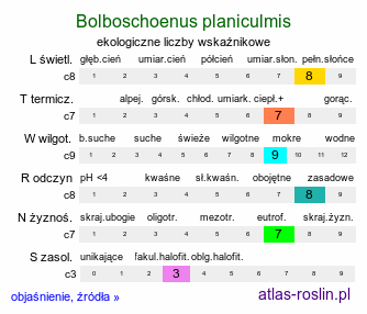 ekologiczne liczby wskaźnikowe Bolboschoenus planiculmis