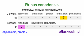ekologiczne liczby wskaźnikowe Rubus canadensis (jeżyna kanadyjska)