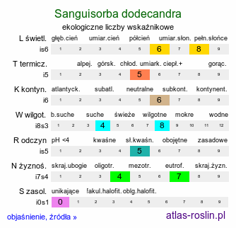 ekologiczne liczby wskaźnikowe Sanguisorba dodecandra (krwiściąg dwunastopręcikowy)