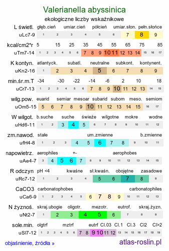 ekologiczne liczby wskaźnikowe Valerianella abyssinica (roszpunka mieszana)