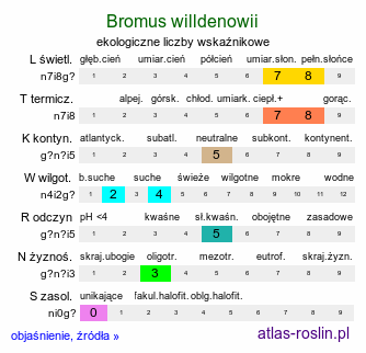 ekologiczne liczby wskaźnikowe Bromus willdenowii (stokłosa obiedkowata)