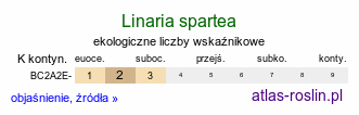 ekologiczne liczby wskaźnikowe Linaria spartea (linaria miotlasta)