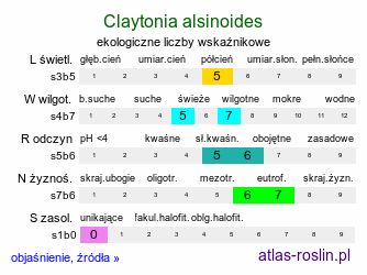 ekologiczne liczby wskaźnikowe Claytonia alsinoides