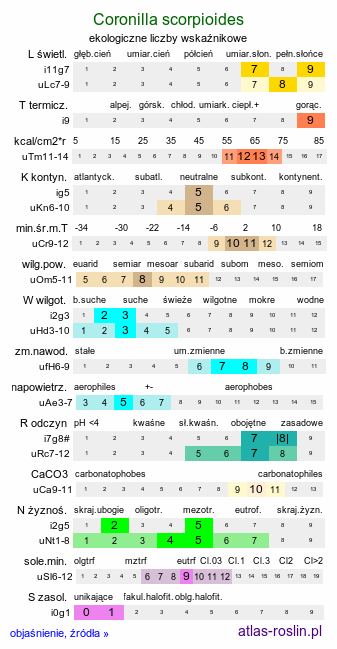 ekologiczne liczby wskaźnikowe Coronilla scorpioides (cieciorka sierpowata)