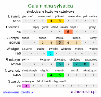 ekologiczne liczby wskaźnikowe Calamintha menthifolia ssp. menthifolium (kalaminta lekarska)