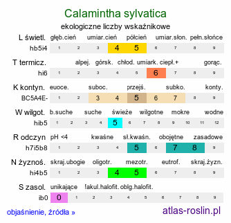 ekologiczne liczby wskaźnikowe Calamintha sylvatica (kalaminta lekarska)