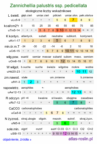 ekologiczne liczby wskaźnikowe Zannichellia palustris ssp. pedicellata (zamętnica błotna trzoneczkowata)