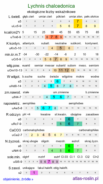 ekologiczne liczby wskaźnikowe Lychnis chalcedonica (firletka chalcedońska)