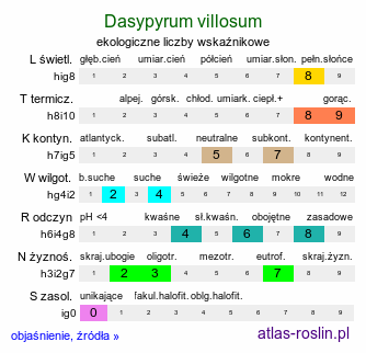 ekologiczne liczby wskaźnikowe Dasypyrum villosum (dasypyrum kosmate)