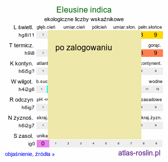 ekologiczne liczby wskaźnikowe Eleusine indica (manneczka indyjska)