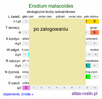 ekologiczne liczby wskaźnikowe Erodium malacoides (iglica malwowata)