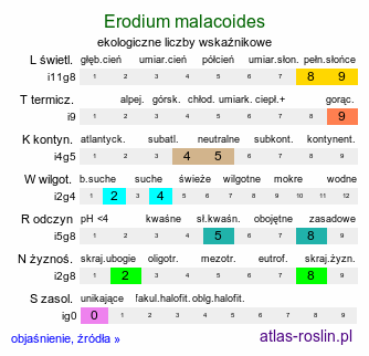 ekologiczne liczby wskaźnikowe Erodium malacoides (iglica malwowata)