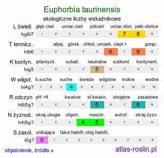 ekologiczne liczby wskaźnikowe Euphorbia taurinensis (wilczomlecz grecki)