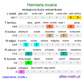 ekologiczne liczby wskaźnikowe Herniaria incana (połonicznik siwy)