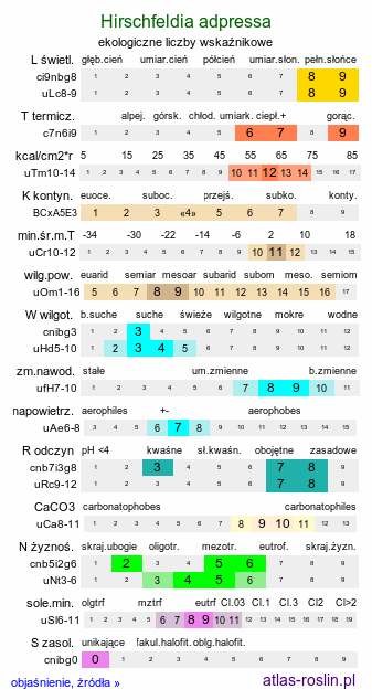 ekologiczne liczby wskaźnikowe Hirschfeldia adpressa (hirszfeldia szara)