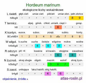 ekologiczne liczby wskaźnikowe Hordeum marinum (jęczmień nadmorski)