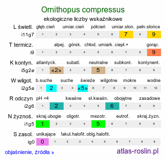 ekologiczne liczby wskaźnikowe Ornithopus compressus (seradela spłaszczona)