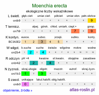 ekologiczne liczby wskaźnikowe Moenchia erecta (menchia wzniesiona)