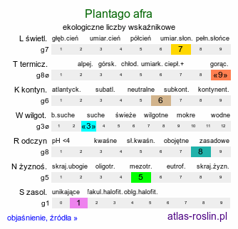 ekologiczne liczby wskaźnikowe Plantago afra (babka płesznik)