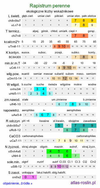 ekologiczne liczby wskaźnikowe Rapistrum perenne (świrzepa trwała)