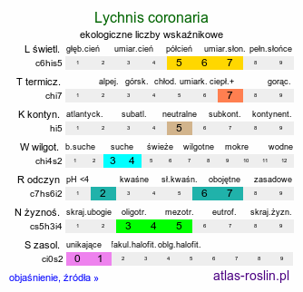 ekologiczne liczby wskaźnikowe Lychnis coronaria (firletka kwiecista)