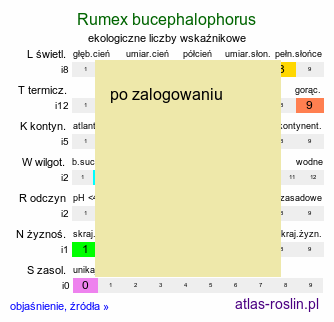 ekologiczne liczby wskaźnikowe Rumex bucephalophorus (szczaw dziurkowany)