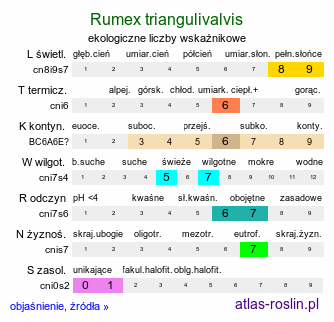 ekologiczne liczby wskaźnikowe Rumex triangulivalvis (szczaw trójkątnodziałkowy)