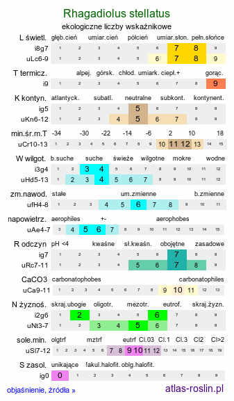 ekologiczne liczby wskaźnikowe Rhagadiolus stellatus (słodziczka gwiaździsta)