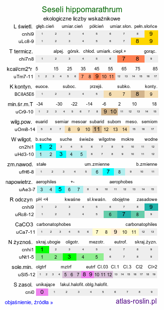 ekologiczne liczby wskaźnikowe Seseli hippomarathrum (żebrzyca kobyla)