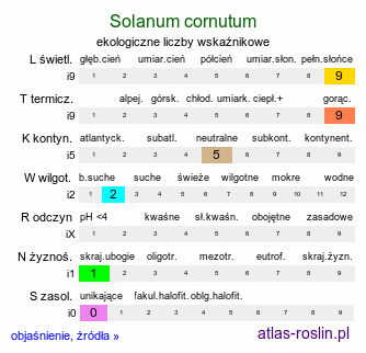 ekologiczne liczby wskaźnikowe Solanum cornutum (psianka dzióbkowata)