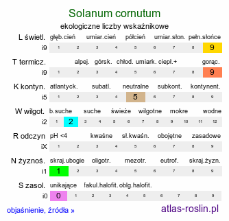 ekologiczne liczby wskaźnikowe Solanum cornutum (psianka dzióbkowata)